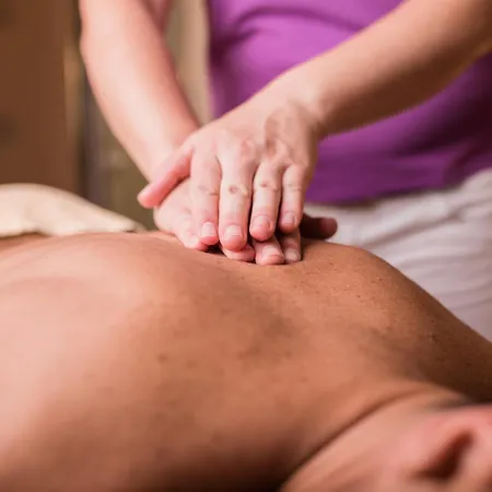 ホテル Alpenschloessl 4*