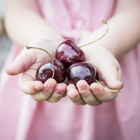 Alpenschloessl Hotel 4*