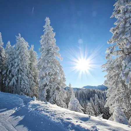 Alpenschloessl Hotel