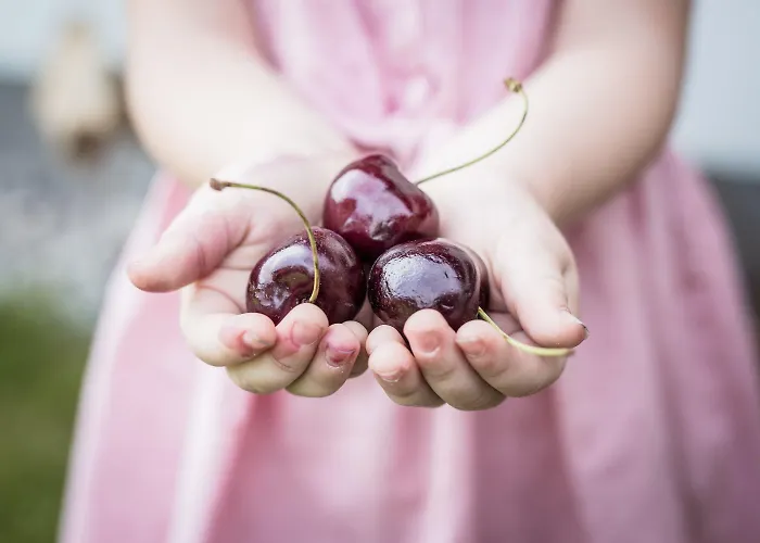 Alpenschloessl Hotel 4*