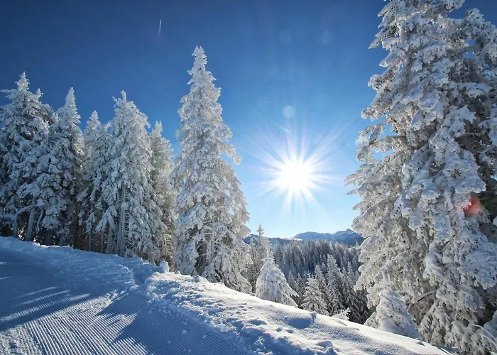 Alpenschloessl فندق